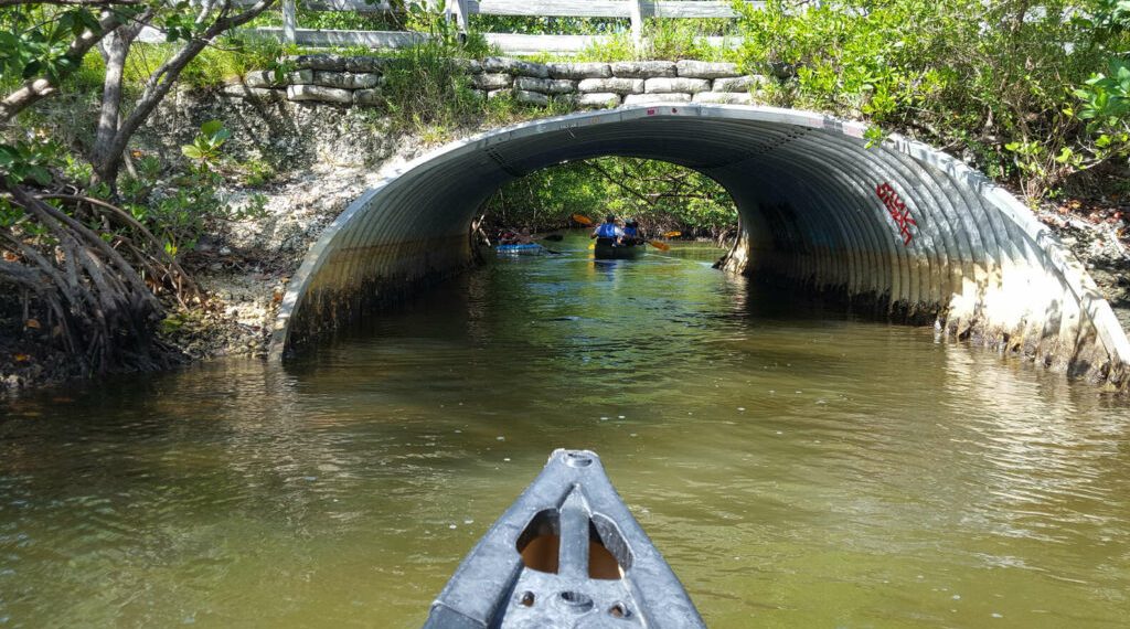 10 cosas que hacer en Miami este verano