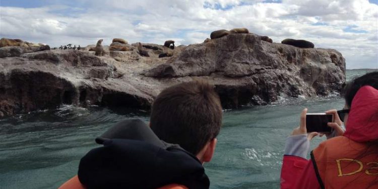 APTur: lanzan un aporte económico para agencias de viaje y servicios de transporte turístico