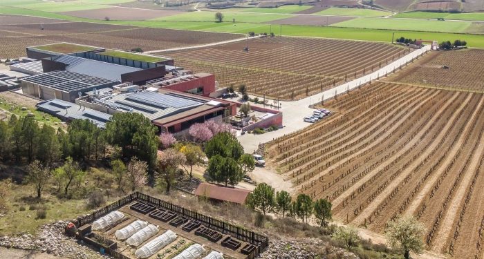 Ambivium, una experiencia en torno al vino
