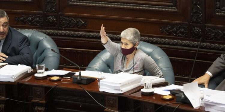 Cámara de Senadores aprobó por unanimidad ampliar exoneraciones a sectores afectados por la pandemia | la diaria