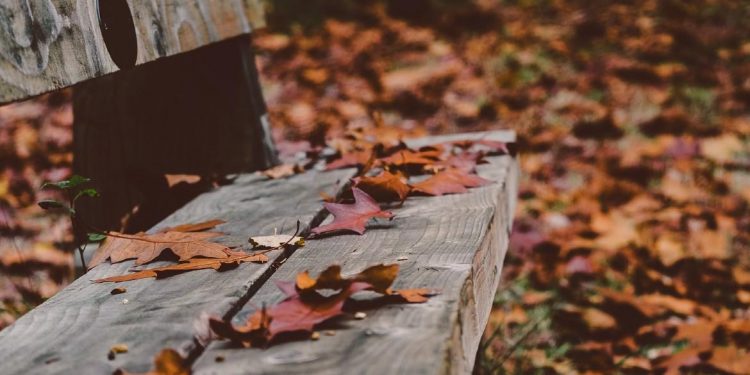 Cinco destinos para enamorarse del otoño argentino