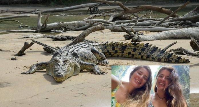 Cocodrilos atacan a turistas inglesas en Oaxaca; una se encuentra grave de salud