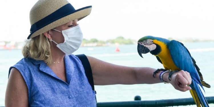 La directora de la línea de cruceros fluviales “Uniworld” llegó a inspeccionar la Terminal de Cruceros de Cartagena para una potencial operación