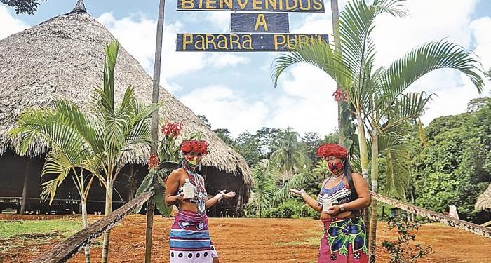 Ecoturismo: una guía dentro y fuera de la ciudad de Panamá - Spanish Version
