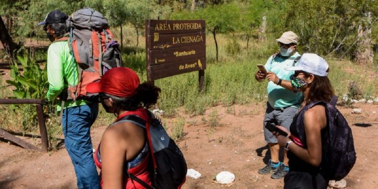 Este es el listado de beneficiarios del programa Proteger Empleo