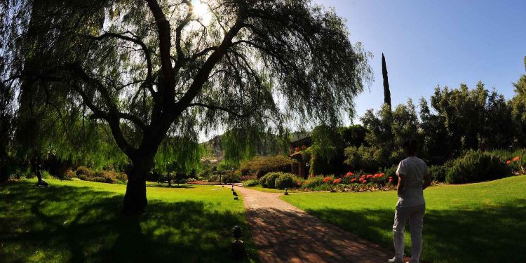 Baja California wellness