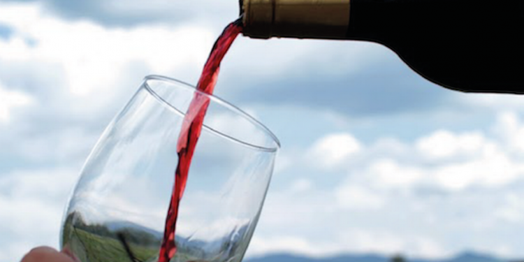 Guanajuato es el 4to productor de vino - El Sol de León