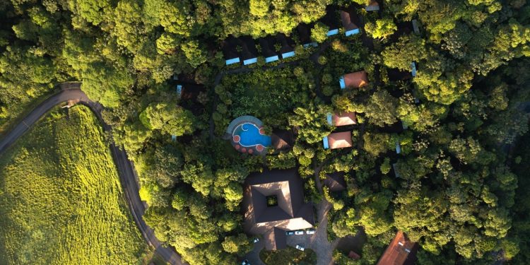 Hotel Río Celeste Hideaway logra premio en la categoría de Safari Stays de la distinción Best of the Best de Travelers Choice 2021 de Tripadvisor