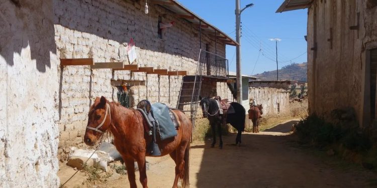 Los caballos listos para viajar en Huamantanga, el pueblo andino donde la gente usa las amunas.