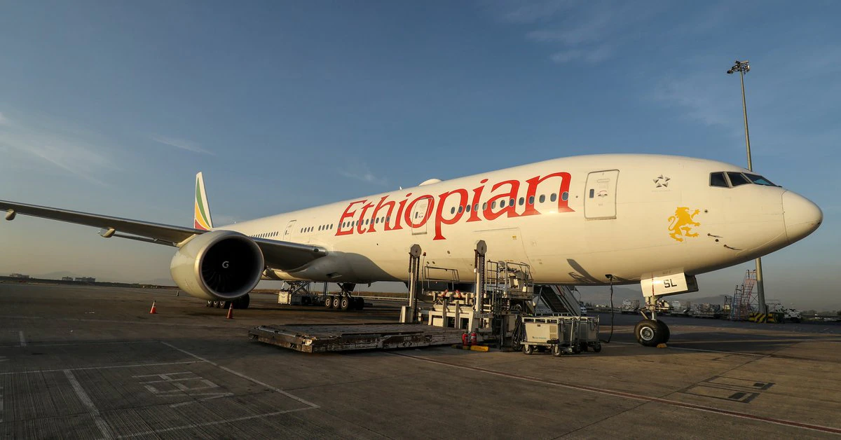 La única aerolínea africana con presencia local también suspendió sus operaciones en la Argentina