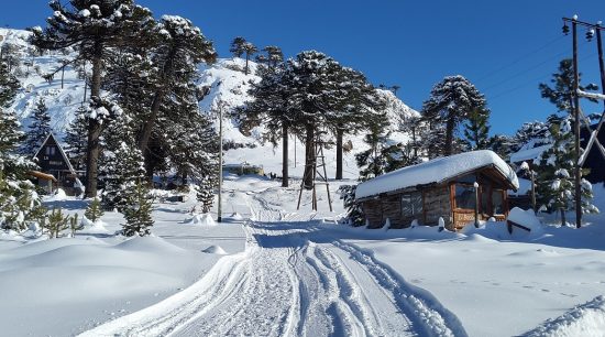 Las agencias reclaman la confirmación de las vacaciones de invierno