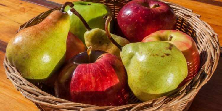 Latinoamérica, La Nueva Meca De Las Manzanas Y Peras Argentinas
