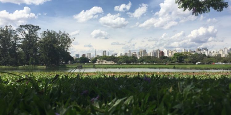 Los mejores planes para hacer en São Paulo