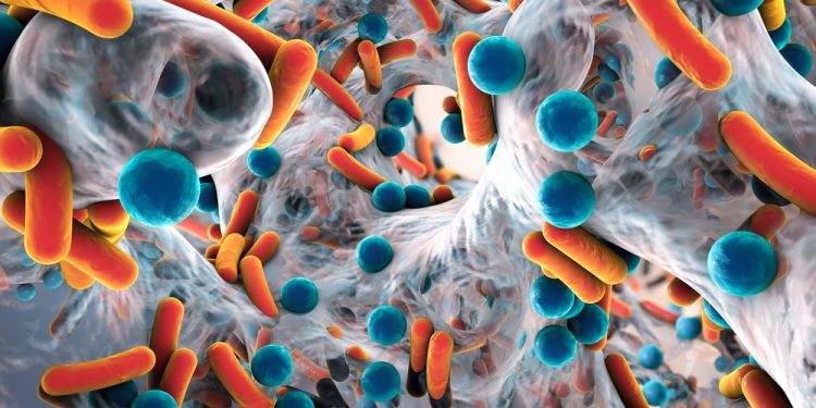 Los viajes internacionales diseminan cepas de superbacterias resistentes