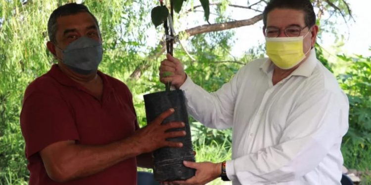 Noticias de Nayarit en tiempo real, Puerto Vallarta, México y el mundo