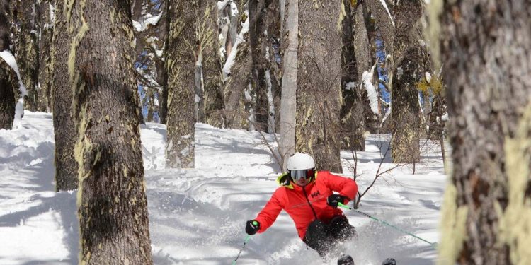 Nueva etapa del Programa PreViaje | Medidas de impu...