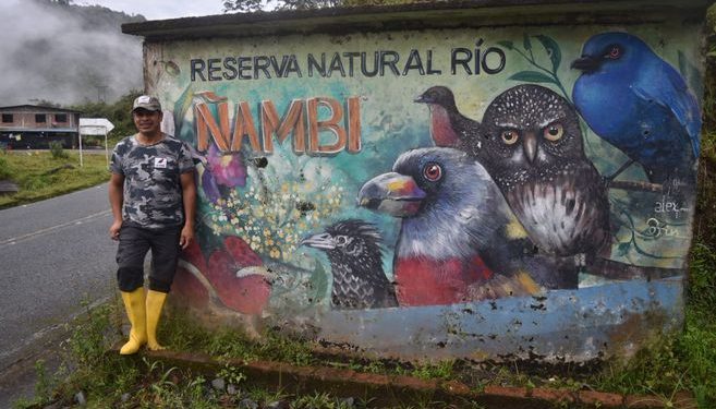 Río Ñambí, la reserva de los colibríes