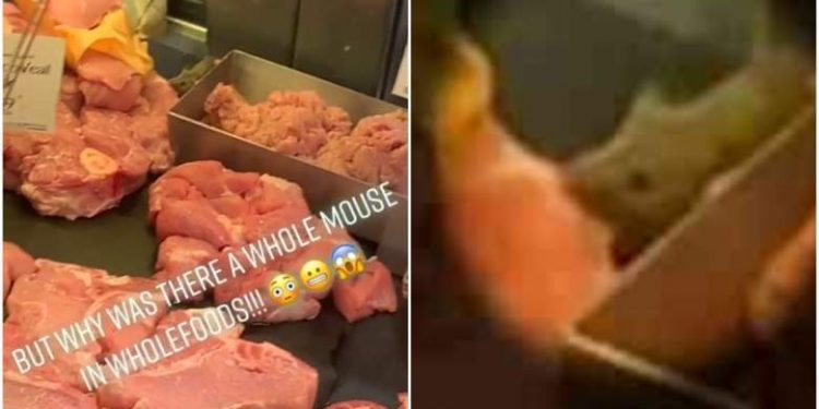 [VIDEO] Un ratón come carne de Whole Foods