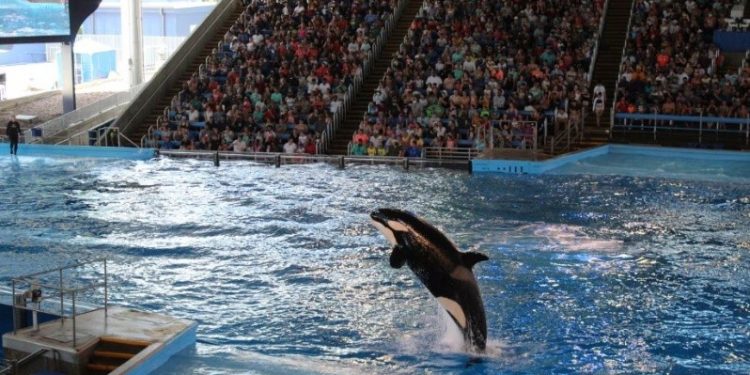 12 lugares para conocer este verano en San Antonio, Texas