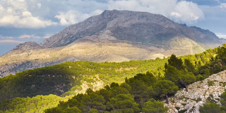 Así es la Sierra de las Nieves, el nuevo y flamante parque nacional español  | España