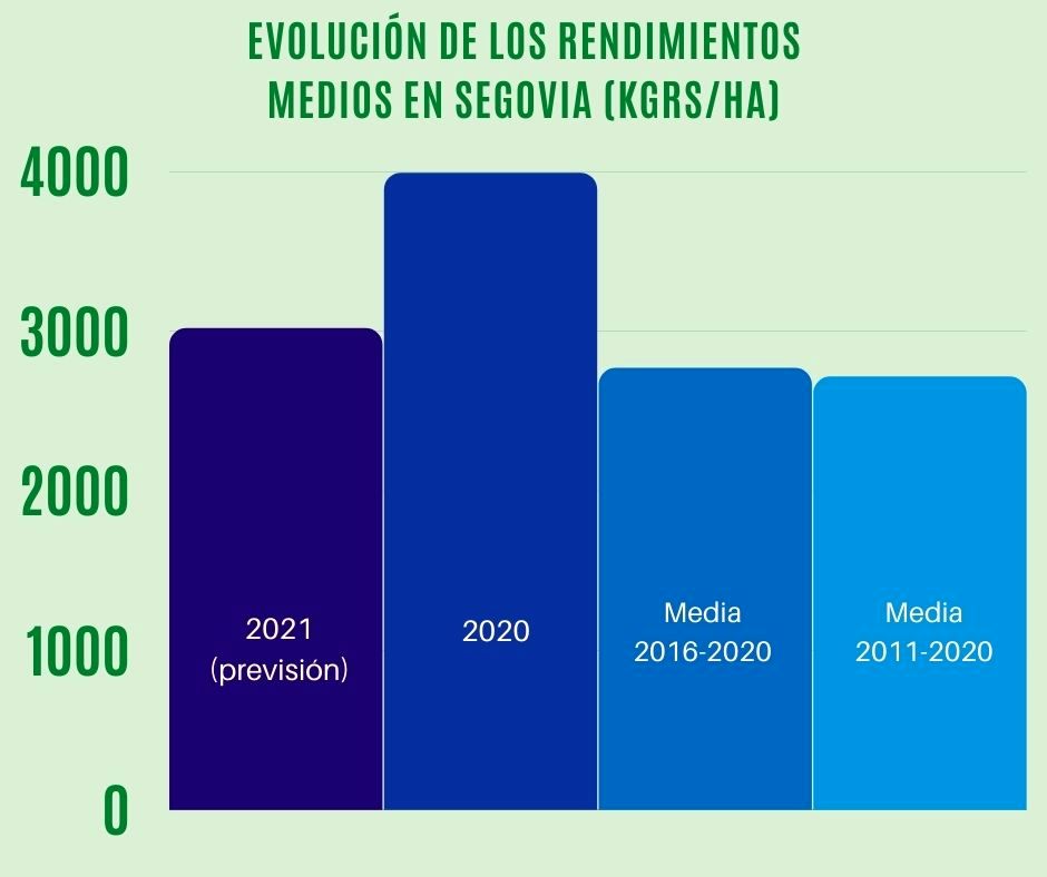 Grafico 2 1