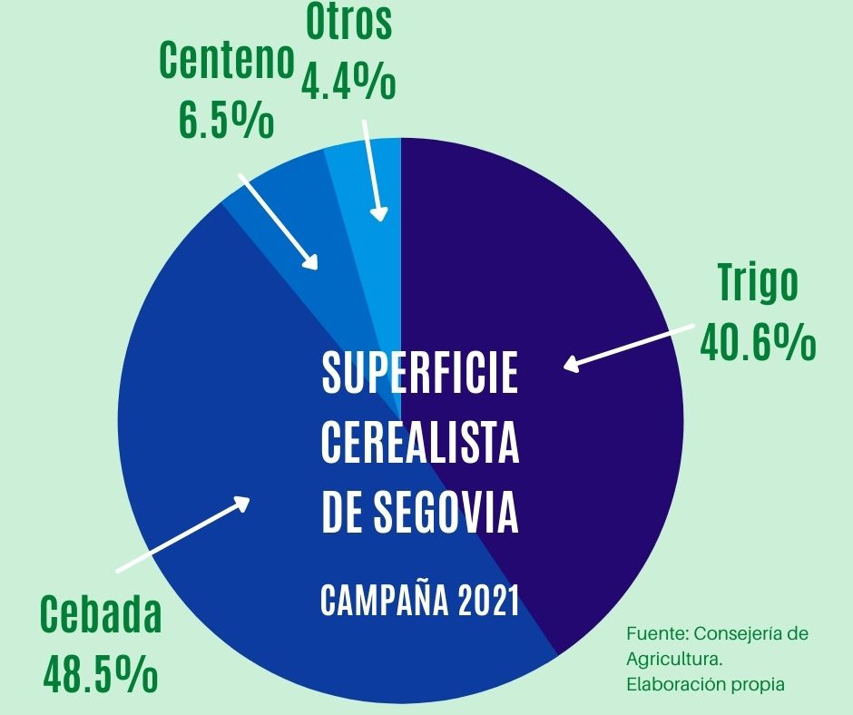 Grafico