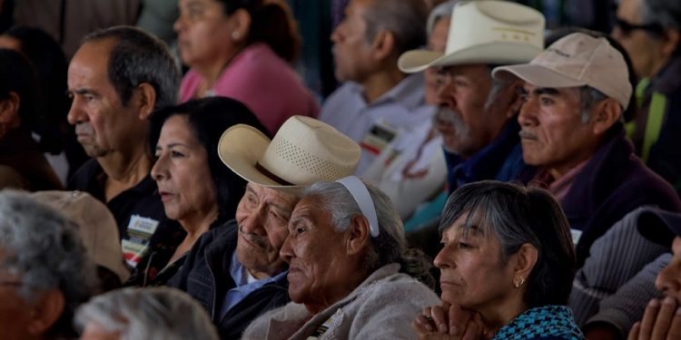 Así será el registro para obtener la pensión de adultos mayores de 65 años