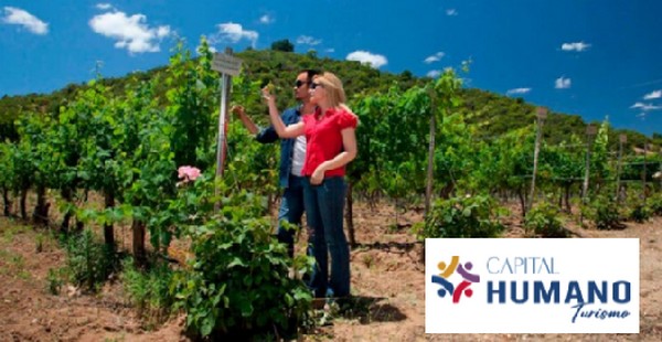 Chile | Nueva web de Capital Humano de Turismo