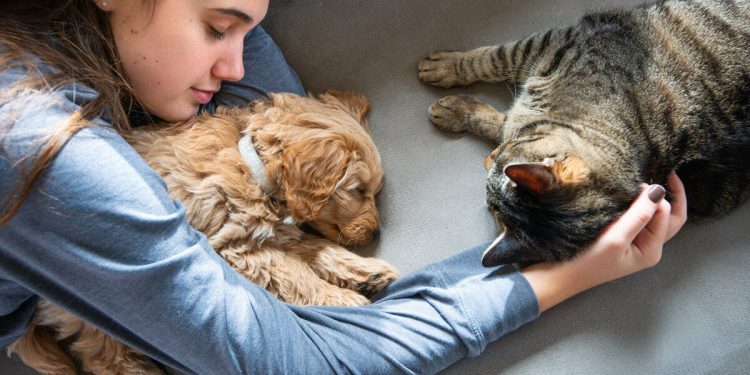 Foto: Fuente: iStock.