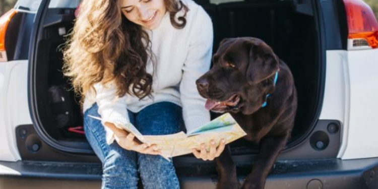 Conoce las mejores recomendaciones para viajar con tu mejor amigo de cuatro patas