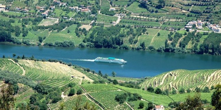 CroisiEurope ofrece más salidas con precios reducidos para sus cruceros por el Duero