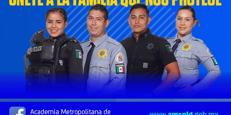 Cruceros golpe de más de 792 mdd en 2020, acotado 2021 y a futuro ajustes