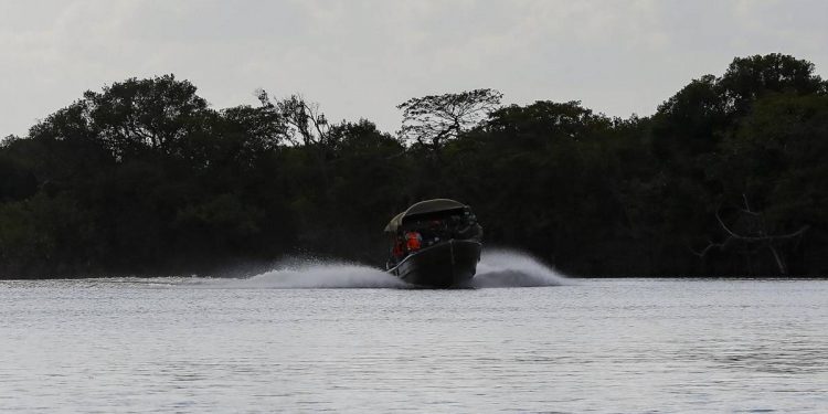 Demanda de viajes nacionales y aéreos marca la recuperación del turismo