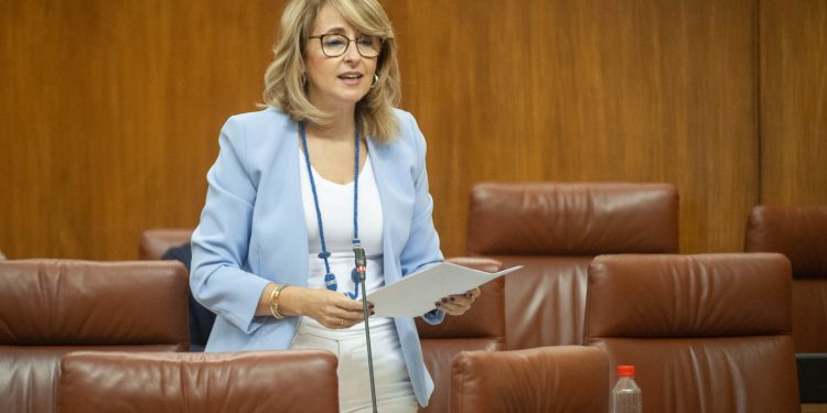 El Parlamento de Andalucía pide al Gobierno ayudas para las empresas afectadas por la cancelación de la OPE