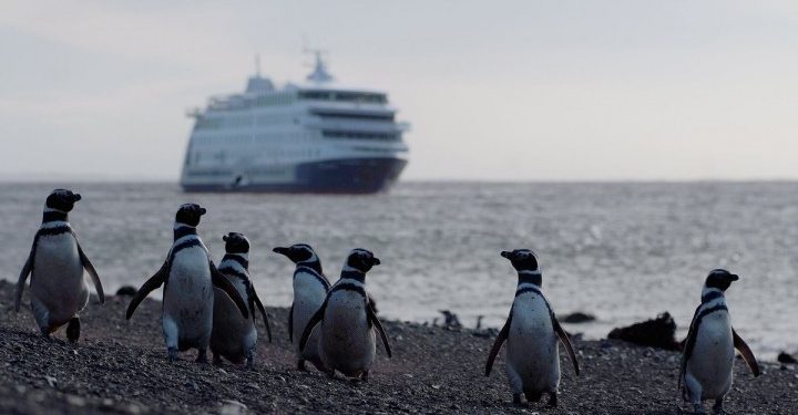Empresas de cruceros interesadas en iniciar temporada en octubre