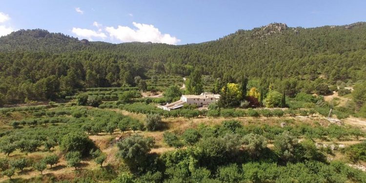 Este verano (y siempre…) viajemos a un mundo más ético y sostenible | Alterconsumismo | Planeta Futuro