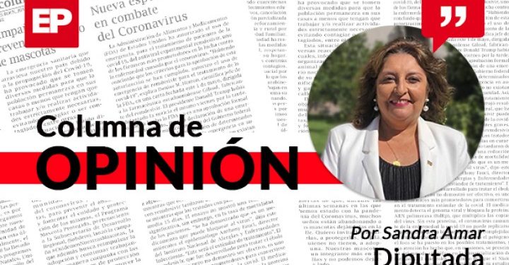 Los cruceros | ELPINGUINO.COM