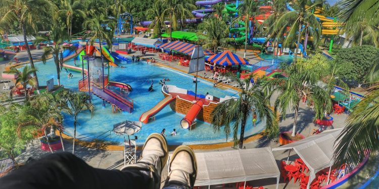 Los mejores encuentros de Delfines en Vallarta