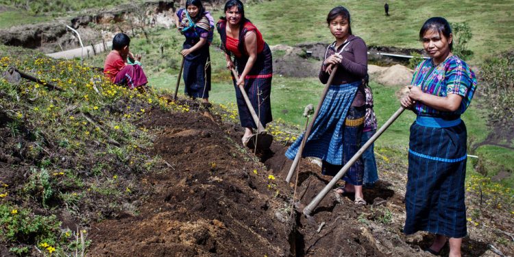 Mujeres agricultoras en Guatemala