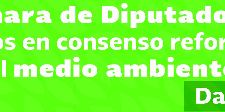 Banner-nota-01
