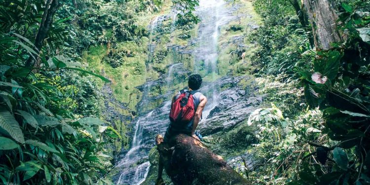 Reputación internacional del país como destino sostenible está en su pico máximo