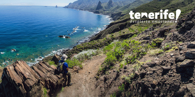 Tenerife y Travel Audience promueven los viajes responsables a la isla