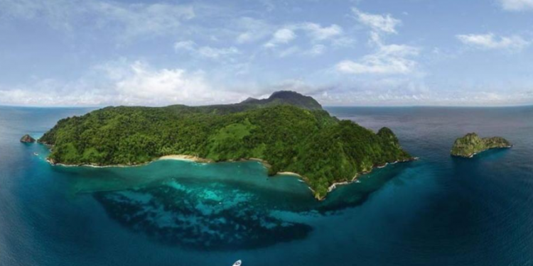 Tiburones de la Isla del Coco generan ganancias de hasta $14 millones anuales al país