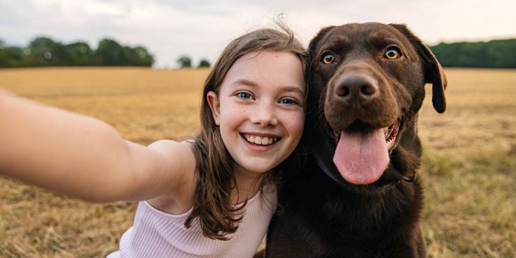 viajar con niños perros mascotas perro
