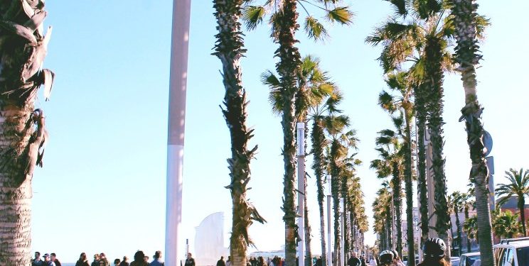 ¿Cuál ciudad escoger para vivir: Madrid, Barcelona o Málaga?