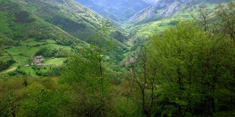 Foto: Paisaje de naturaleza (Jose Luis Gallego)