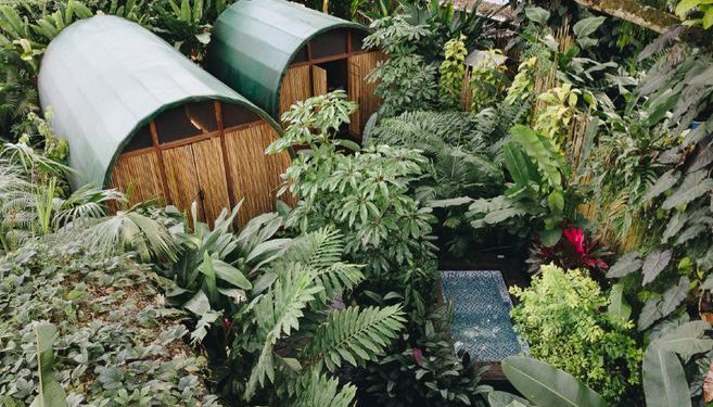 17 hoteles en Colombia que son sinónimos de lujo y sostenibilidad