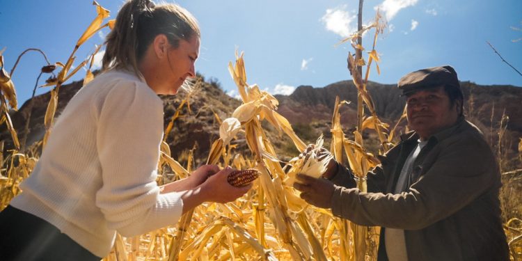Con sabor federal: tres proyectos gastronómicos premiados por los mejores chefs latinoamericanos