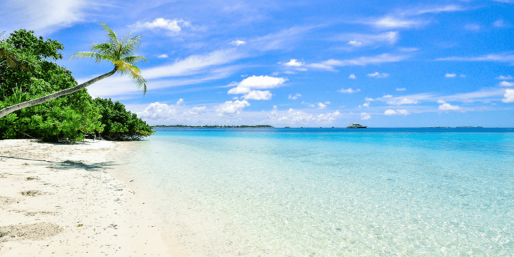 Descubre cuál es la playa más tranquila de Playa del Carmen
