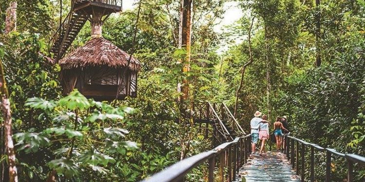 El Amazonas vuelve a abrir sus puertas al turismo